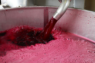 Escape game autour du vin pour 2 - Oenanim - Saint-Émilion (33)