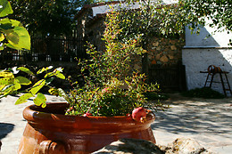 HOSTERÍA CASA ADRIANO