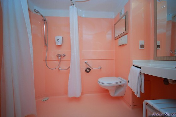 Online Booking EPS - photo 5