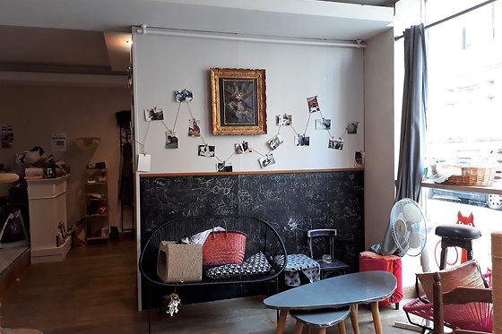 Le chat puccino - photo 2