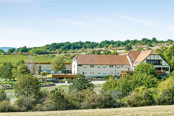Hôtel du Bollenberg - photo 8
