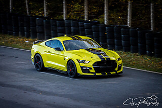 Découverte Ford Mustang Shelby GT500 (5 tours) sur le Circuit de Nogaro (2.2km)