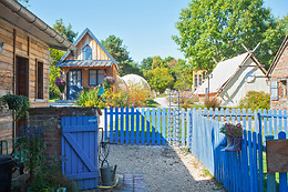La Chouette Étoilée