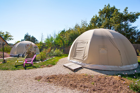La Chouette Étoilée - photo 2
