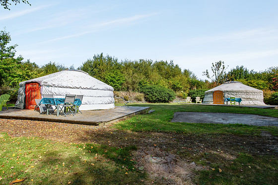 Chez Anne et Mat - photo 15