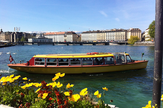 Qui veut pister Genève ? - photo 2