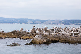 Scooter des mers et paddle pour 2 - Glisse paradise - Saint-Laurent-du-Var (06)