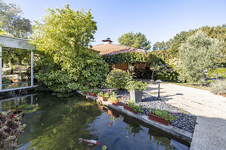 Un repas en duo aux Jardins du Lac à Trizay (17)