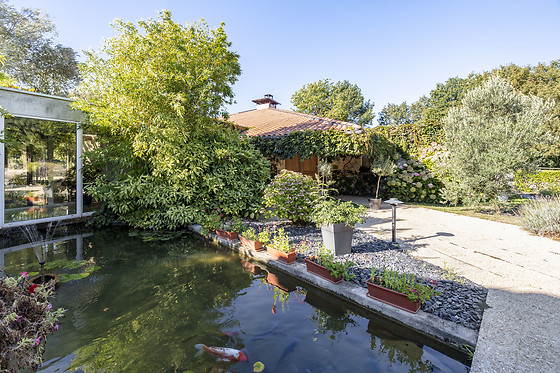 Un repas en duo aux Jardins du Lac à Trizay (17)