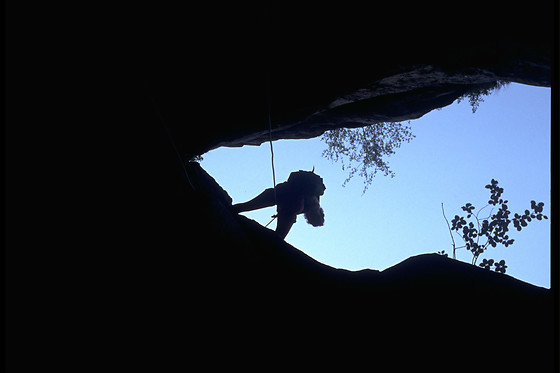 ALPINE PROJECT - photo 8