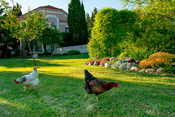 Villa Hanna - photo 4