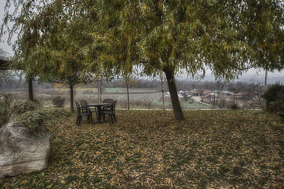 Agriturismo Il Palazzetto - photo 5
