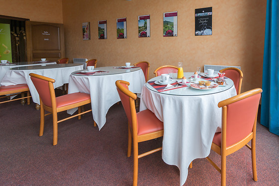 Hotel Des Grands Vins - photo 11