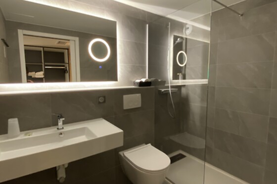 Brit Hôtel & Spa Colmar East - photo 8