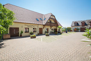 Dégustation en groupe au Domaine Pierre Adam à Ammerschwihr (68)