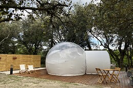 SomNid'Bulle