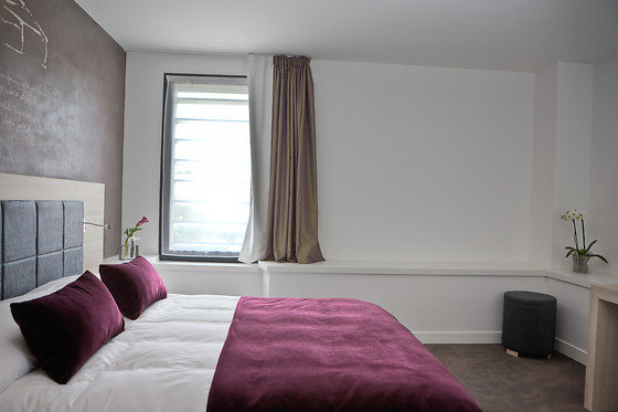 Best Western Villa Saint Antoine - photo 13