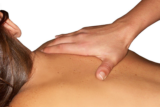 YVES ROCHER - photo 16