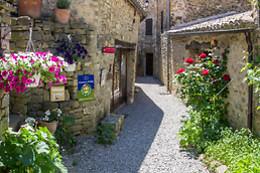 Les Roses Tremières