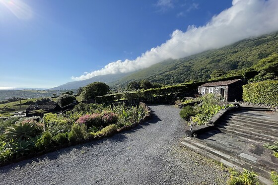 ADEGAS DO PICO - photo 2