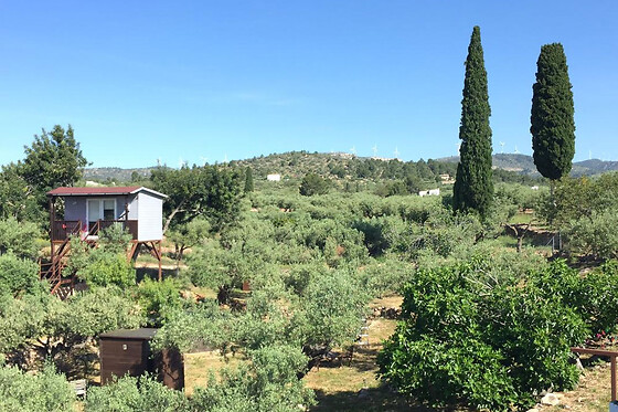 ECOTURISMO VILLAFELICHE - photo 18