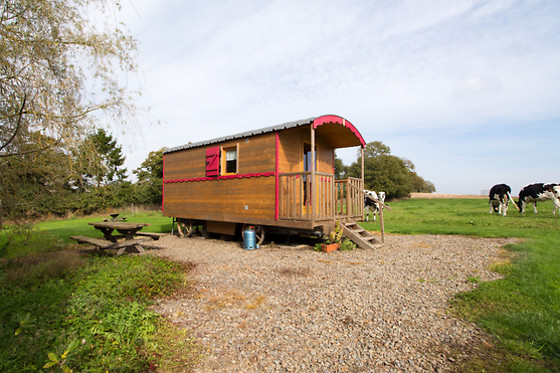 Ferme de la gortière - photo 8
