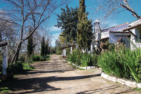 CORTIJO EL BERROCAL - photo 5