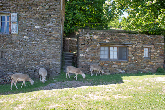 Magnanerie du Serre - photo 9
