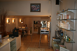 Institut Silhouette