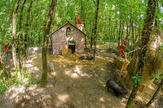 Defiplanet - photo 21
