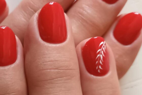 Toute en Beauté - photo 2