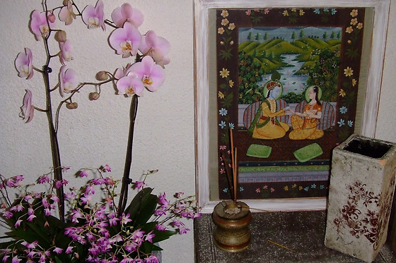 Cynthia Belles - photo 2