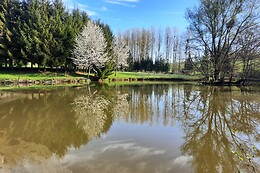 Le Moulin D'Harcy