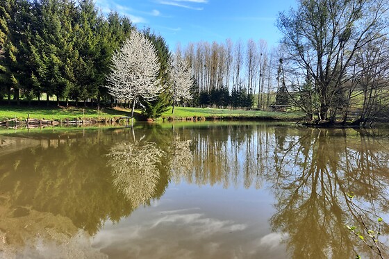 Le Moulin D'Harcy - photo 0