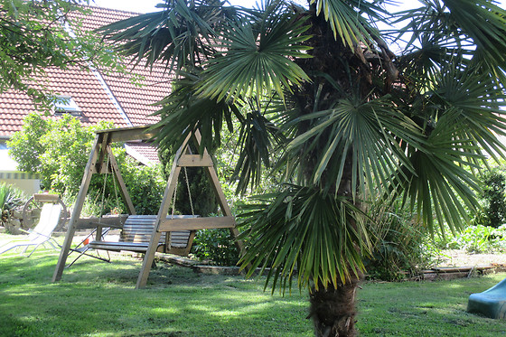 La Bonardière - photo 10