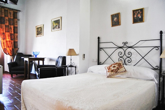 HOTEL LA FONDA DEL CALIFA - photo 14