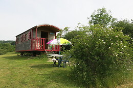 La Grande Savane