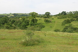 La Grande Savane