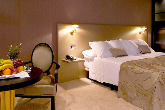 HOTEL OCA SANTO DOMINGO PLAZA - photo 8