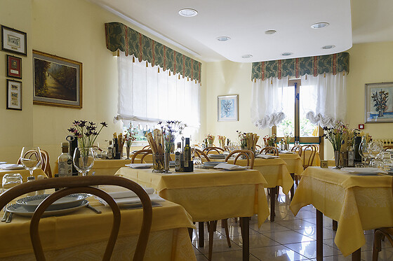 Eco Hotel Edy - photo 3