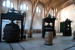 CELLER COOPERATIU GANDESA
