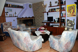 Il Gatto Matto