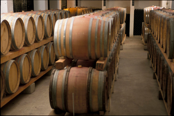 Vignobles Famille Quiot - photo 1