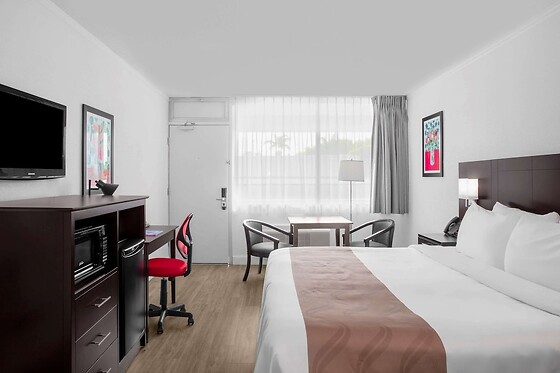 Online Booking EPS - photo 7