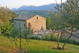 L'Istrice