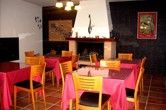 CENTRO ORNITOLOGICO EL PRIMILLAR - photo 1
