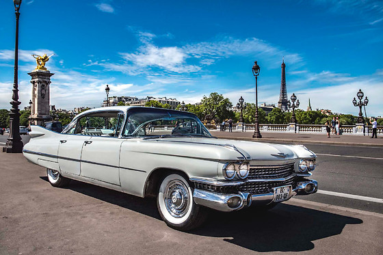 Cady Cruise - photo 20