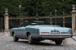 Cady Cruise