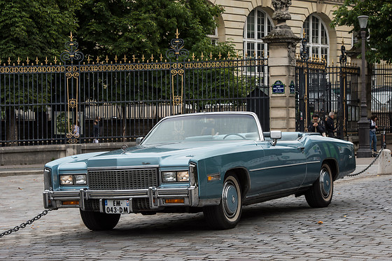 Cady Cruise - photo 0
