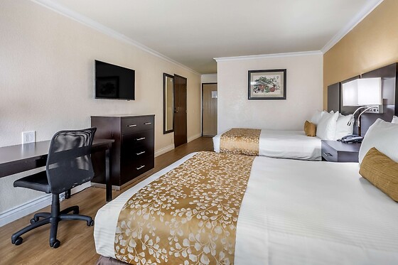 Online Booking EPS - photo 6
